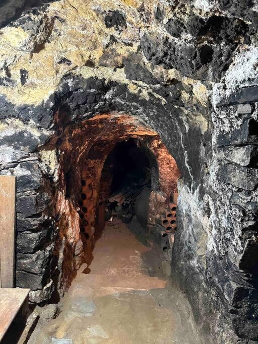 Bodega Tipica En El Molar Sin Camas Ni Dormitorios Exterior foto